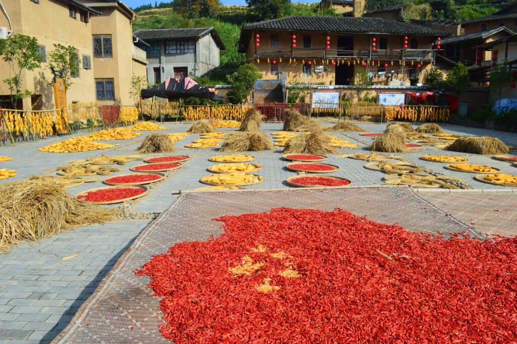 Chinese customs, 晒秋，Sun-drying in Autumn