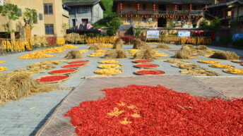 Chinese customs, 晒秋，Sun-drying in Autumn